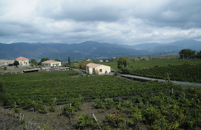 Etna Wine Agriturismo - Foto 38