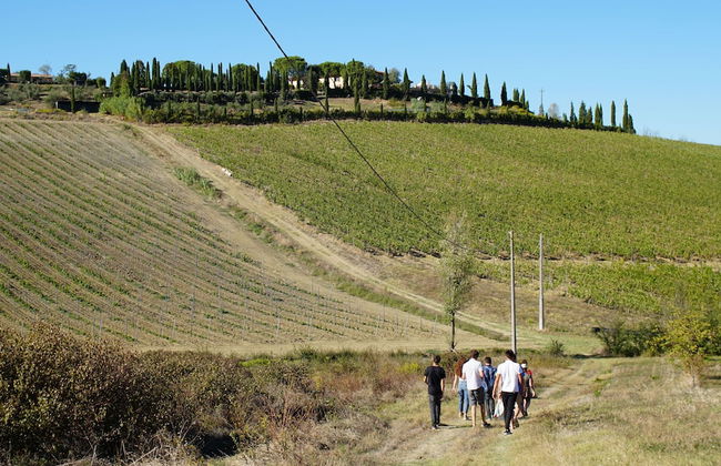 Agriturismo Isola Verde - Foto 26