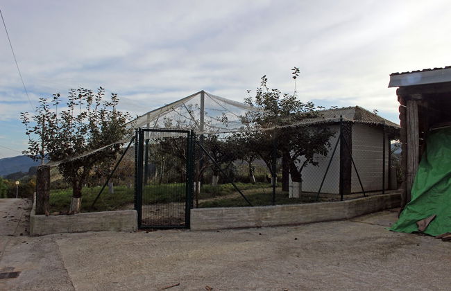 Monte Baserria - Foto 55