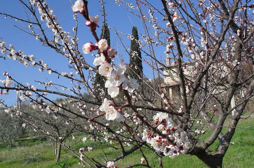 Foto 26 - Beautiful Farmhouse with Hot Tub in Umbria