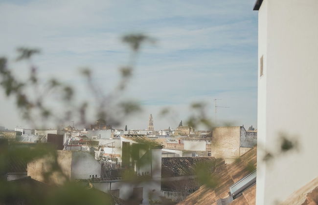 Lofts Trigo 13 - Foto 66