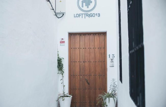 Lofts Trigo 13 - Foto 63