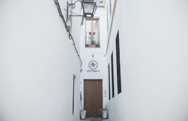 Lofts Trigo 13 - Foto 60