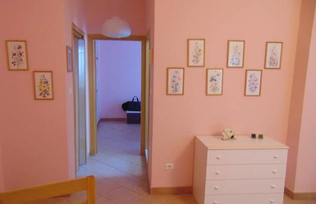 Principe - Foto 17