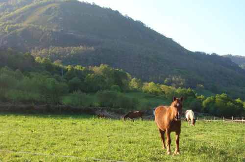 Photo 40 - Alojamientos Rurales Valle de Bueida