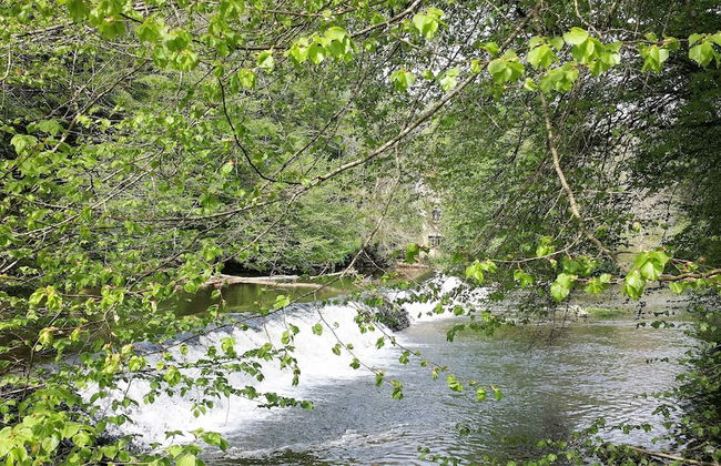 Gîtes LES Fougeres DU LAC - Foto 63