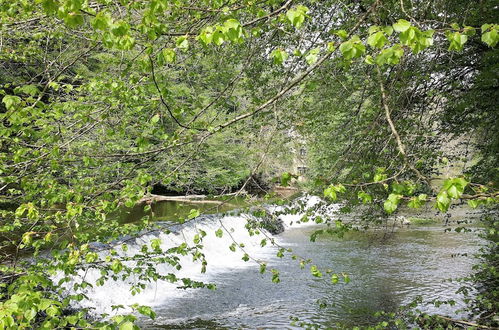 Photo 62 - Gîtes LES Fougeres DU LAC