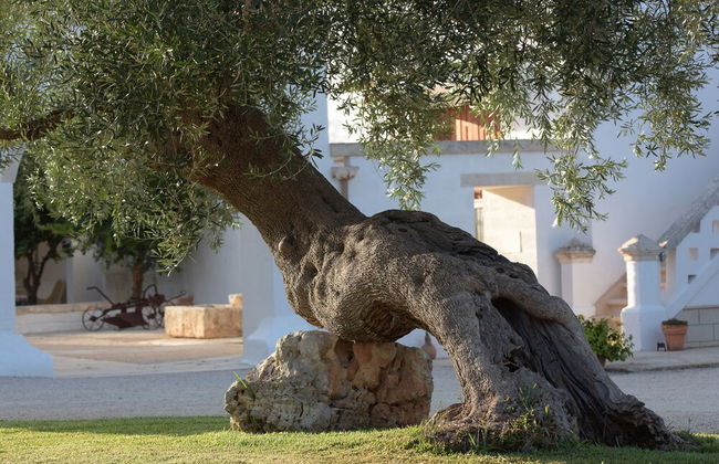 Agriturismo Masseria De Michele - Foto 51