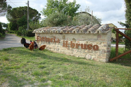 Foto 57 - Agriturismo Fattoria Il Bruco