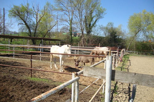 Foto 46 - Agriturismo Fattoria Il Bruco