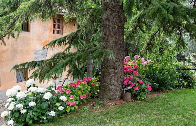 Mansion in Ovada With Pool and Scenic Hills - Foto 29
