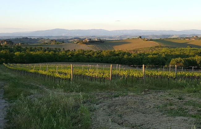Agriturismo Podere Casa al Vento - Foto 42