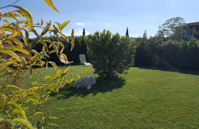 Agriturismo Podere Casa al Vento - Foto 49