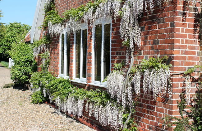 Colston Hall Cottages - Foto 51