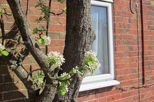 Photo 59 - Colston Hall Cottages