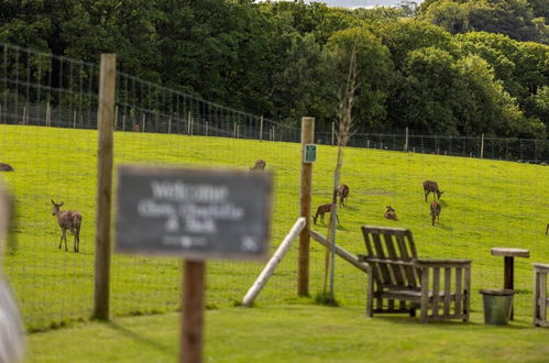 Photo 39 - Luxury Safari Lodge Surrounded by Deer!! 'fallow'