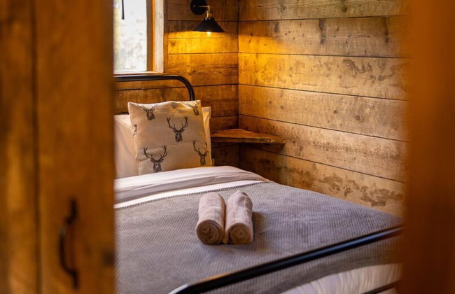 Luxury Safari Lodge Surrounded by Deer!! 'fallow' - Foto 5