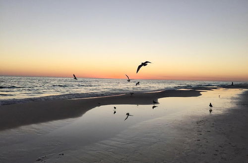 Photo 79 - Beachful Bliss