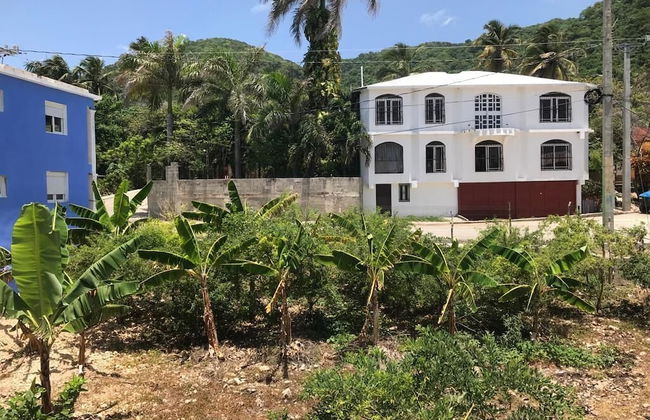 Casa Zabala Ramirez - Photo 33