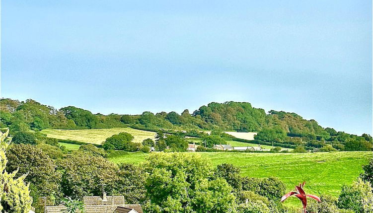 Foto 1 - Renovated Cottage in Sherborne With Stunning Views