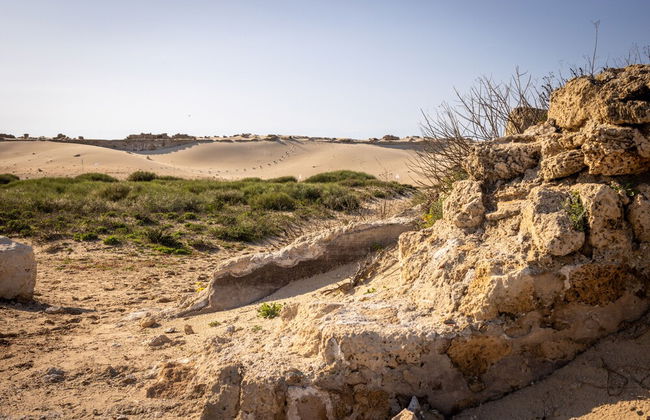 Caesarea Sea-Side Retreat by Sea N' Rent - Foto 62