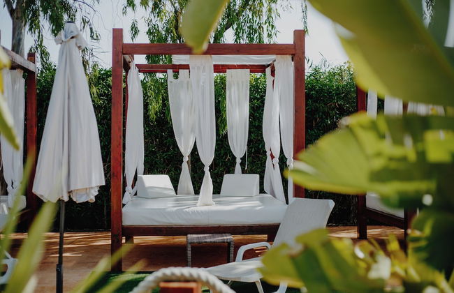 Alannia Guardamar Resort - Photo 42