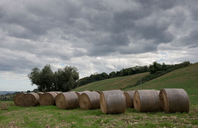 Società Agricola Zucchera S.S. - Foto 9