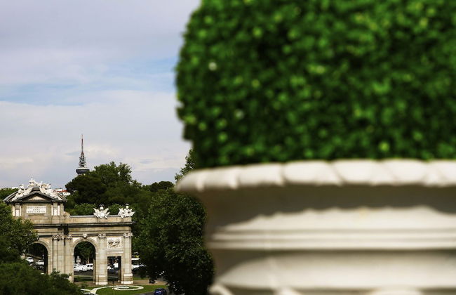 Boutike Cibeles - Foto 21