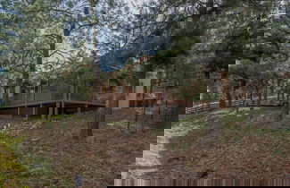 Foto 2 - Oso Blanco