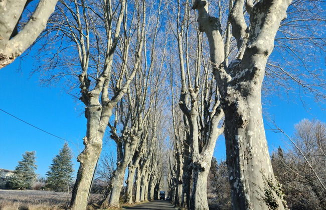 Les Marronniers - Foto 18