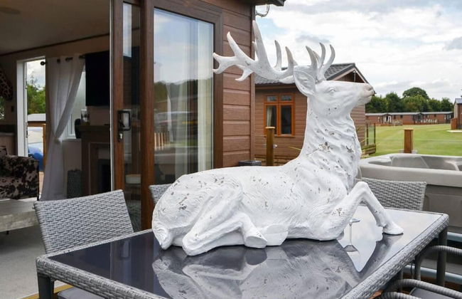 Luxury Boutique Style Lodge With hot tub - Foto 26
