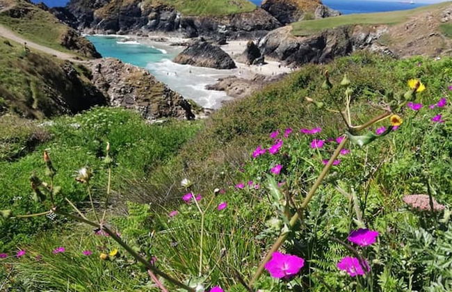 Cosy & Quirky Cottage nr Kynance Cove - Foto 14