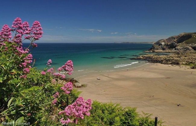 Cosy & Quirky Cottage nr Kynance Cove - Foto 28