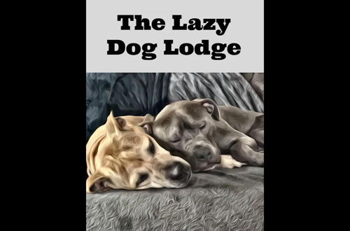 Foto 23 - Lazy Dog Lodge on Minong Flowage