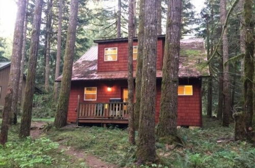 Foto 12 - Mt Baker Lodging Cabin 12 - Sleeps 4