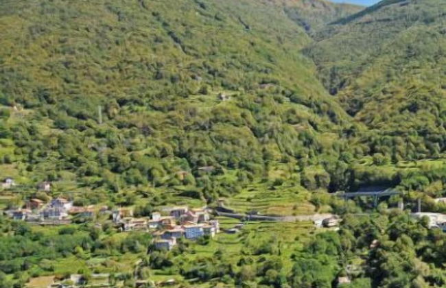 Riva Bellano Margherita 3 - Foto 37