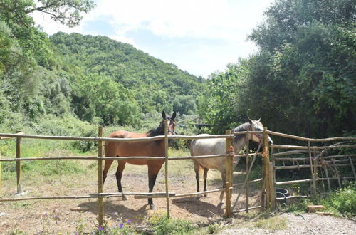 Photo 27 - Serene Cottage in Sao Luis With Barbecue