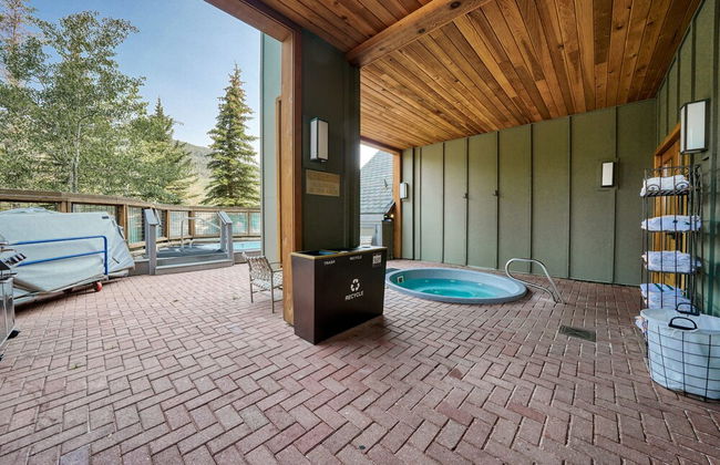 BLCD2 Buffalo Lodge 2 bed 2 bath - Foto 33