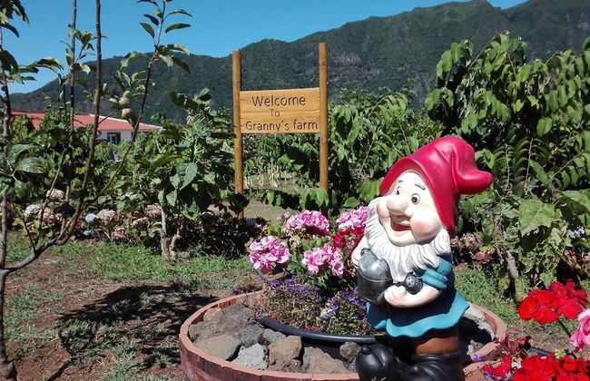 Grannys Farm - Foto 37