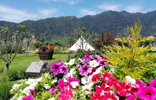 Grannys Farm - Foto 56