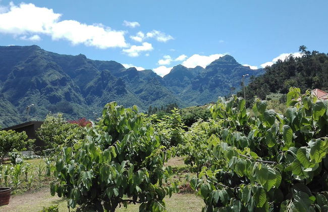 Grannys Farm - Foto 61