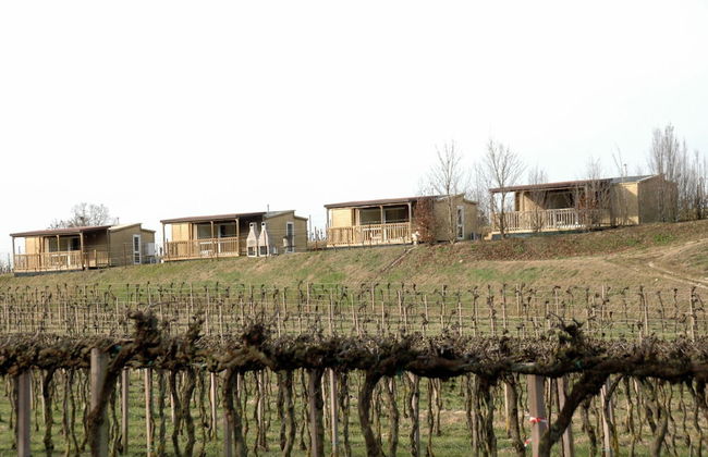 Agriturismo San Leone - Foto 58