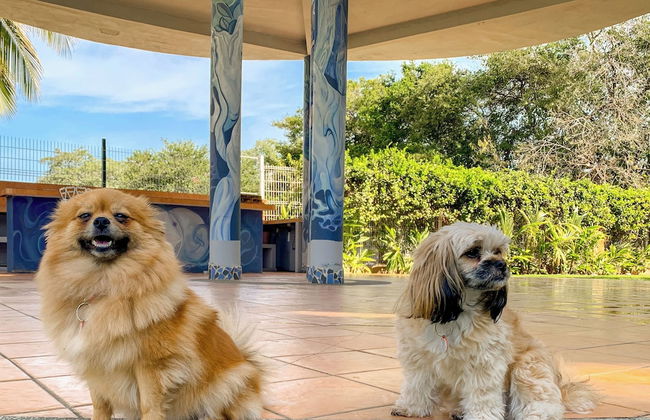 Puerto de Luna Pet Friendly & Family Suites Hotel - Foto 41