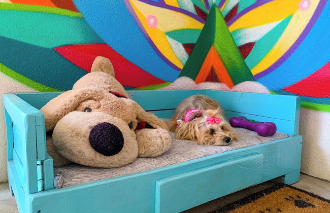 Puerto de Luna Pet Friendly & Family Suites Hotel - Foto 39