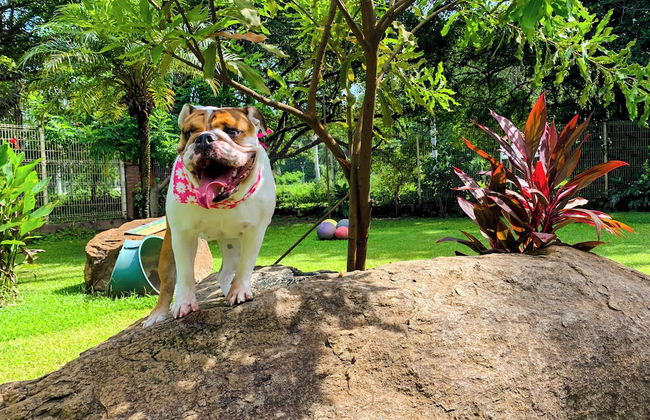 Puerto de Luna Pet Friendly & Family Suites Hotel - Foto 72