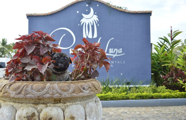 Puerto de Luna Pet Friendly & Family Suites Hotel - Foto 66