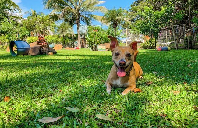 Puerto de Luna Pet Friendly & Family Suites Hotel - Foto 71