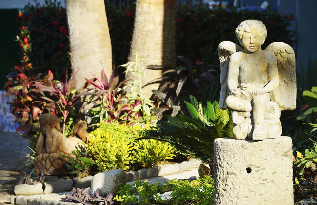 Puerto de Luna Pet Friendly & Family Suites Hotel - Foto 65
