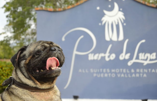Puerto de Luna Pet Friendly & Family Suites Hotel - Foto 38