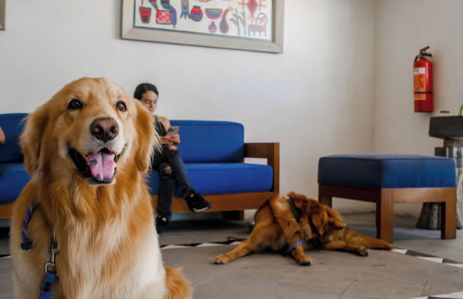 Puerto de Luna Pet Friendly & Family Suites Hotel - Foto 1